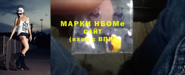 СК Алексин
