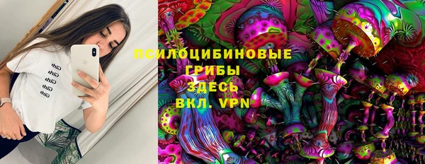 стафф Алексеевка