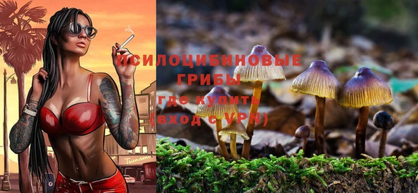 МДМА Инта
