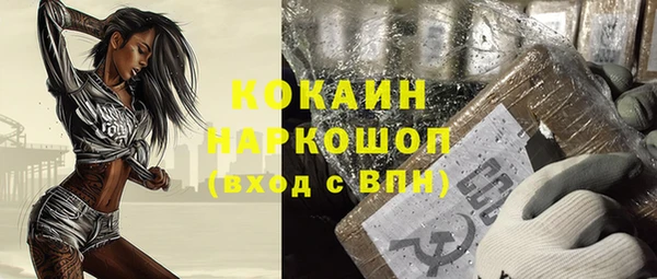 СК Алексин