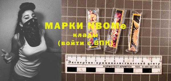 СК Алексин