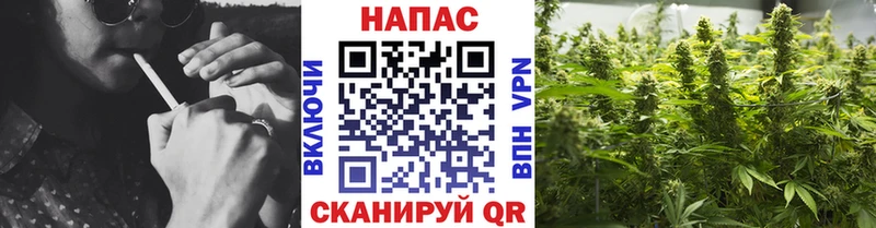 кракен маркетплейс  Россошь  Бошки Шишки THC 21%  что такое  